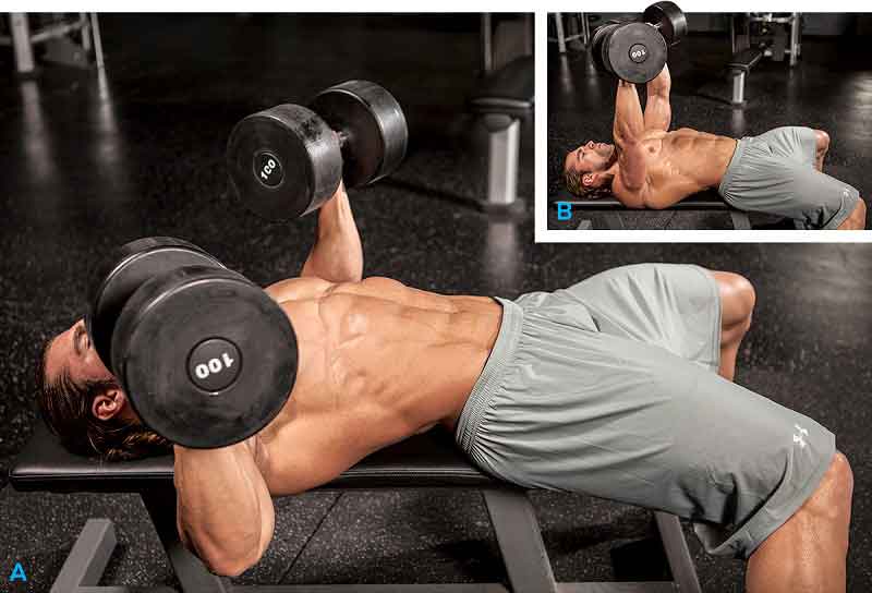 Best Chest Exercises Flat Bench Dumbbell Press