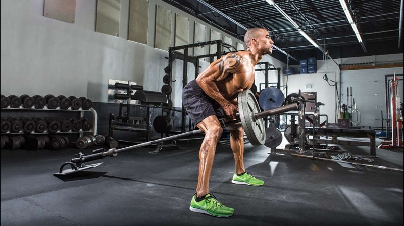 Standing T-Bar Row