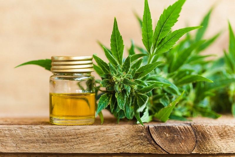 Everything You Need to Know Before Using Hemp CBD Oil for Back Pain ...